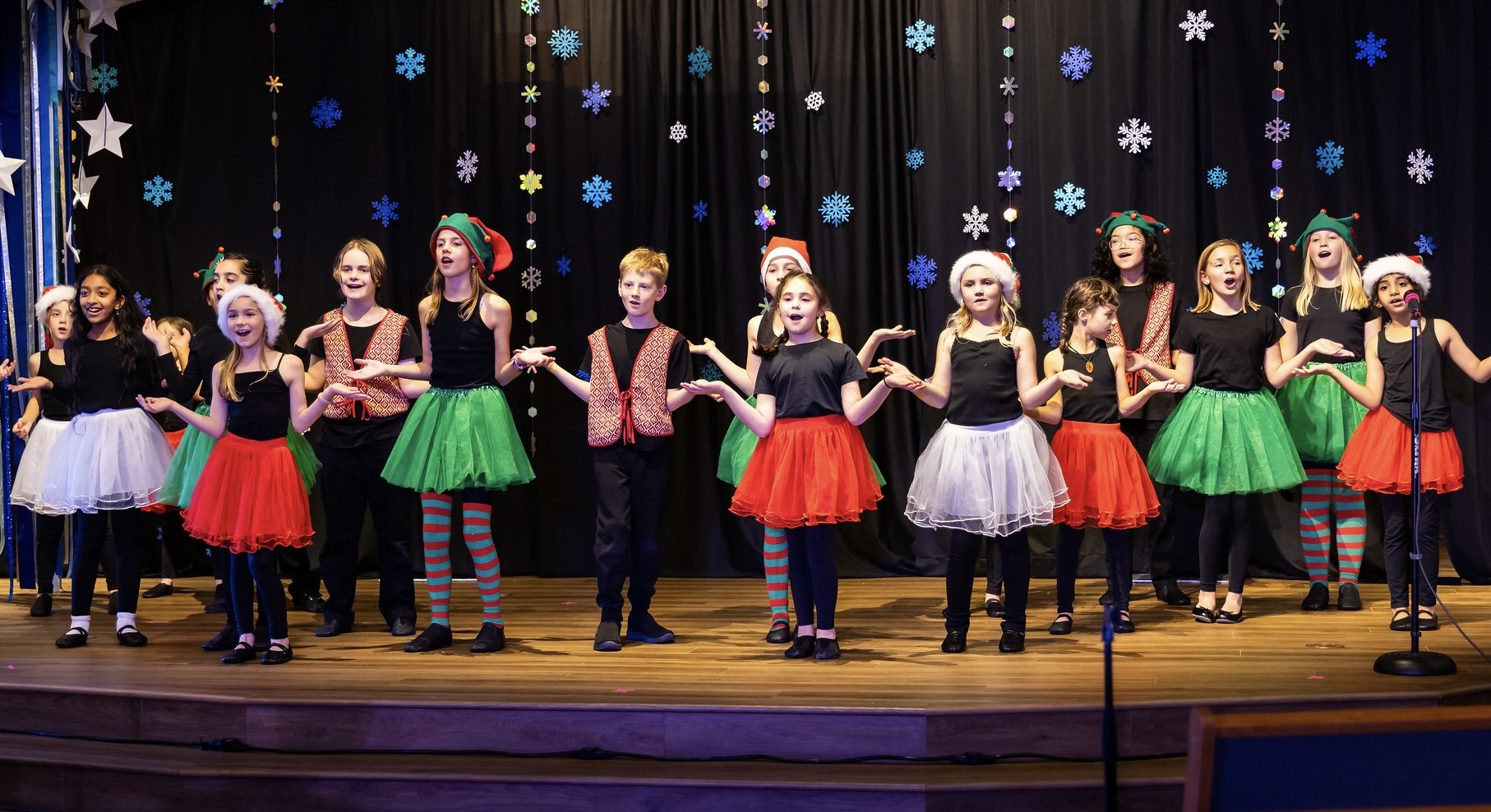 Holiday show performance